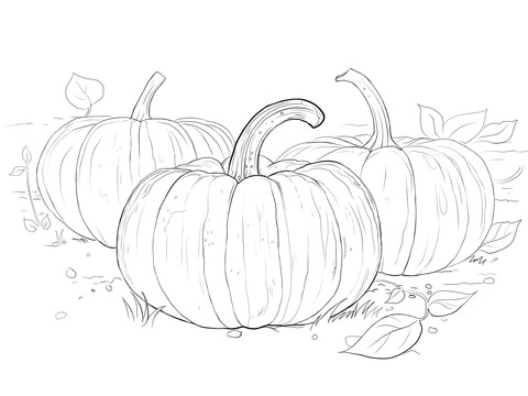 Three Pumpkins Coloring Page